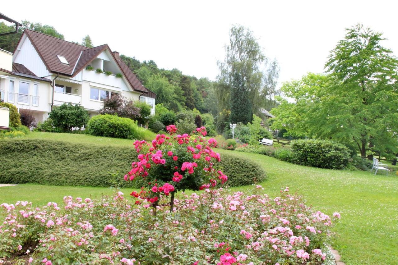 Haus Am Steinberg Apartment Bad Driburg Ngoại thất bức ảnh